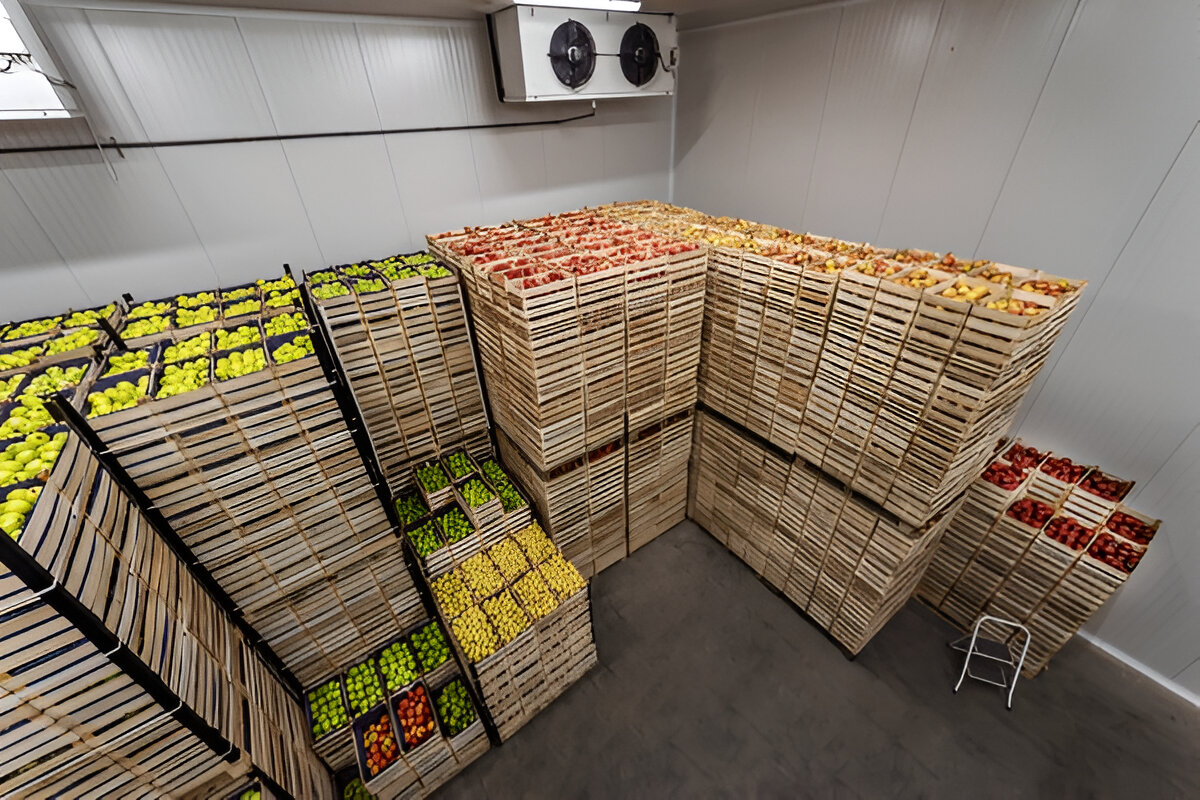 Cold storage processing 